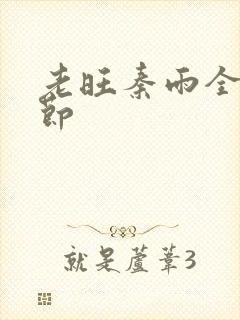 老旺秦雨全部章节