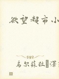 欲望超市小说
