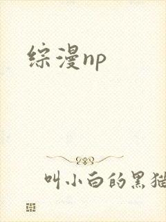 综漫np