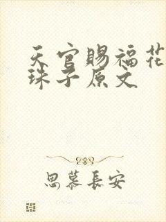 天官赐福花怜塞珠子原文