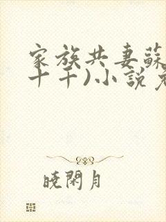 家族共妻苏苏(十千)小说免费