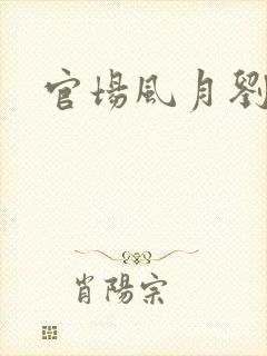 官场风月刘明强封面