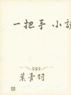 一把手 小说封面