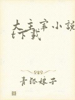 大主宰小说txt下载