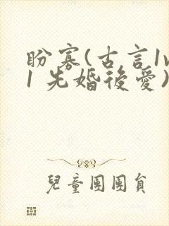 盼寡(古言1v1 先婚后爱)荔枝好多