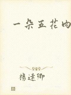一朵五花肉