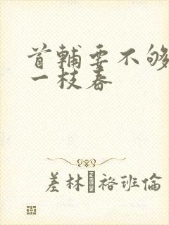 首辅要不够po一枝春