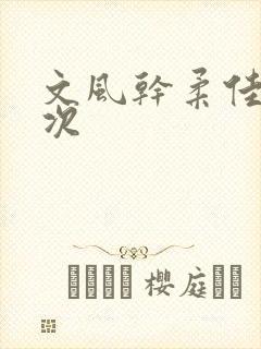 文风干柔佳第一次
