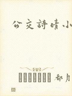 公交诗晴小说