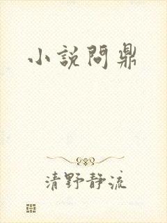 小说问鼎