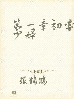 第一章初尝极品少妇