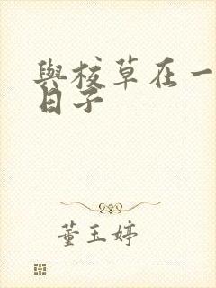 与校草在一起的日子