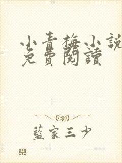 小青梅小说全文免费阅读