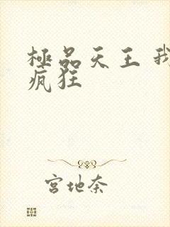 极品天王 我本疯狂