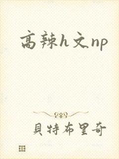 高辣h文np