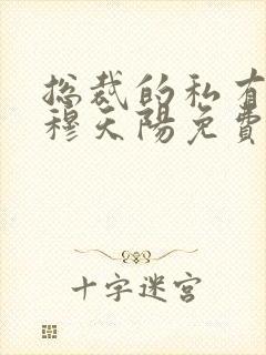 总裁的私有宝贝穆天阳免费