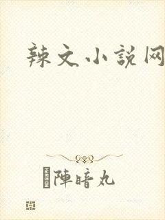 辣文小说网