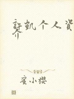 许凯个人资料简介