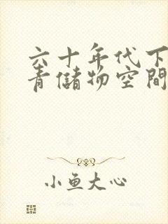 六十年代下乡知青储物空间