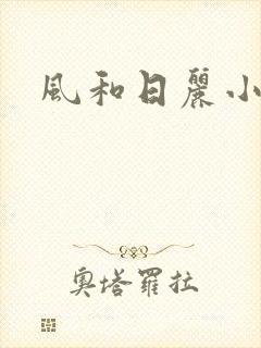 风和日丽小说
