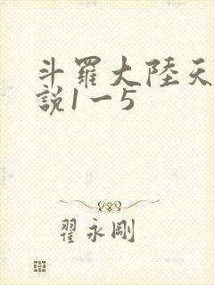斗罗大陆天狂传说1一5
