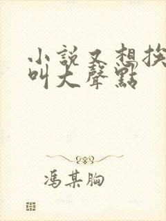 小说又想挨C了叫大声点