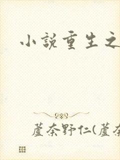 小说重生之官道