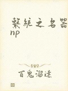 系统之名器攻略np