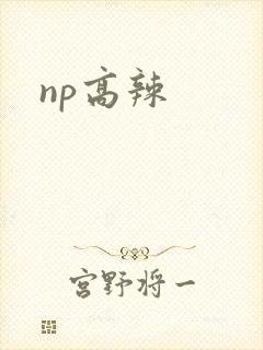 np高辣
