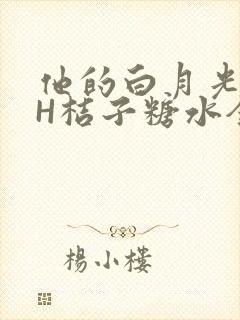 他的白月光HVH桔子糖水全文