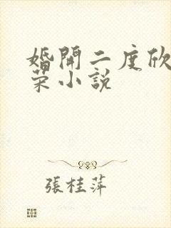 婚开二度欣欣向荣小说