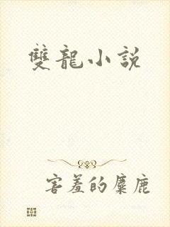 双龙小说