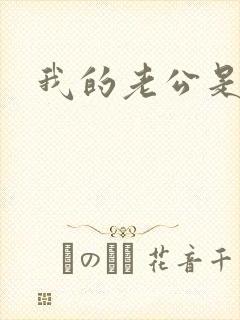 我的老公是冥王