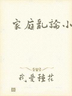 家庭乱论小说
