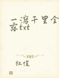 一泻千里金银花露txt