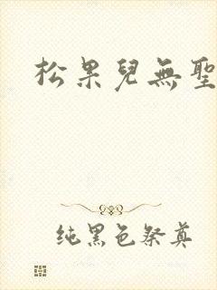 《松果儿无圣光》小说封面