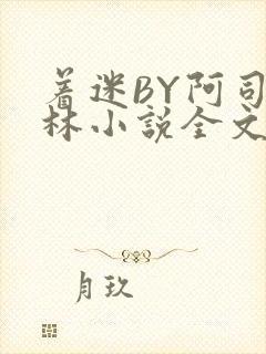 着迷BY阿司匹林小说全文免费阅读