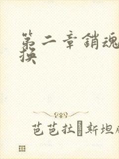 第二章销魂的交换