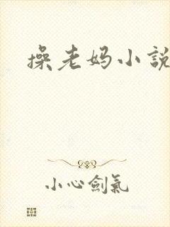 操老妈小说