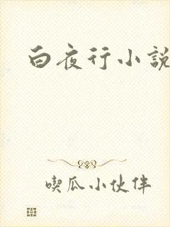 白夜行小说下载