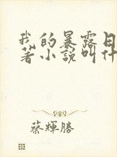 我的暴露日记原著小说叫什么