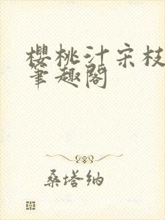 樱桃汁宋枝江野笔趣阁