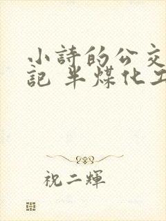 小诗的公交车日记 半煤化工