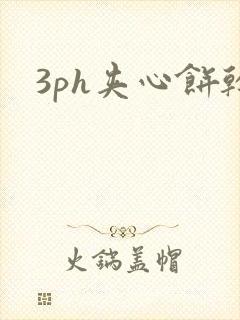 3ph夹心饼干封面