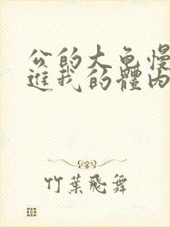 公的大龟慢慢挺进我的体内