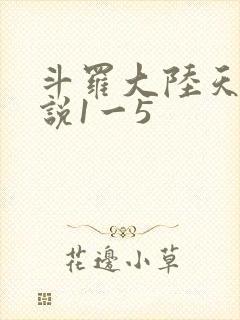 斗罗大陆天狂传说1一5