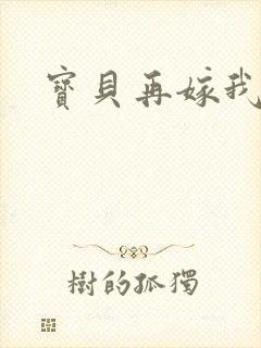 宝贝再嫁我一次
