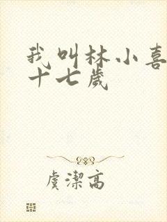 我叫林小喜今年十七岁