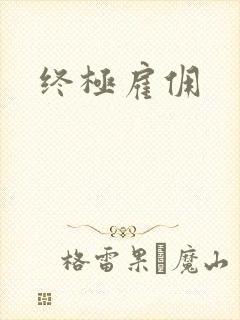 《终极雇佣》小说封面