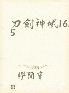 刀剑神域16.5